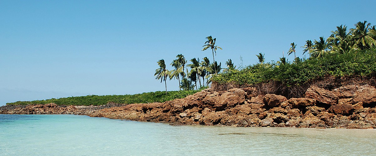land